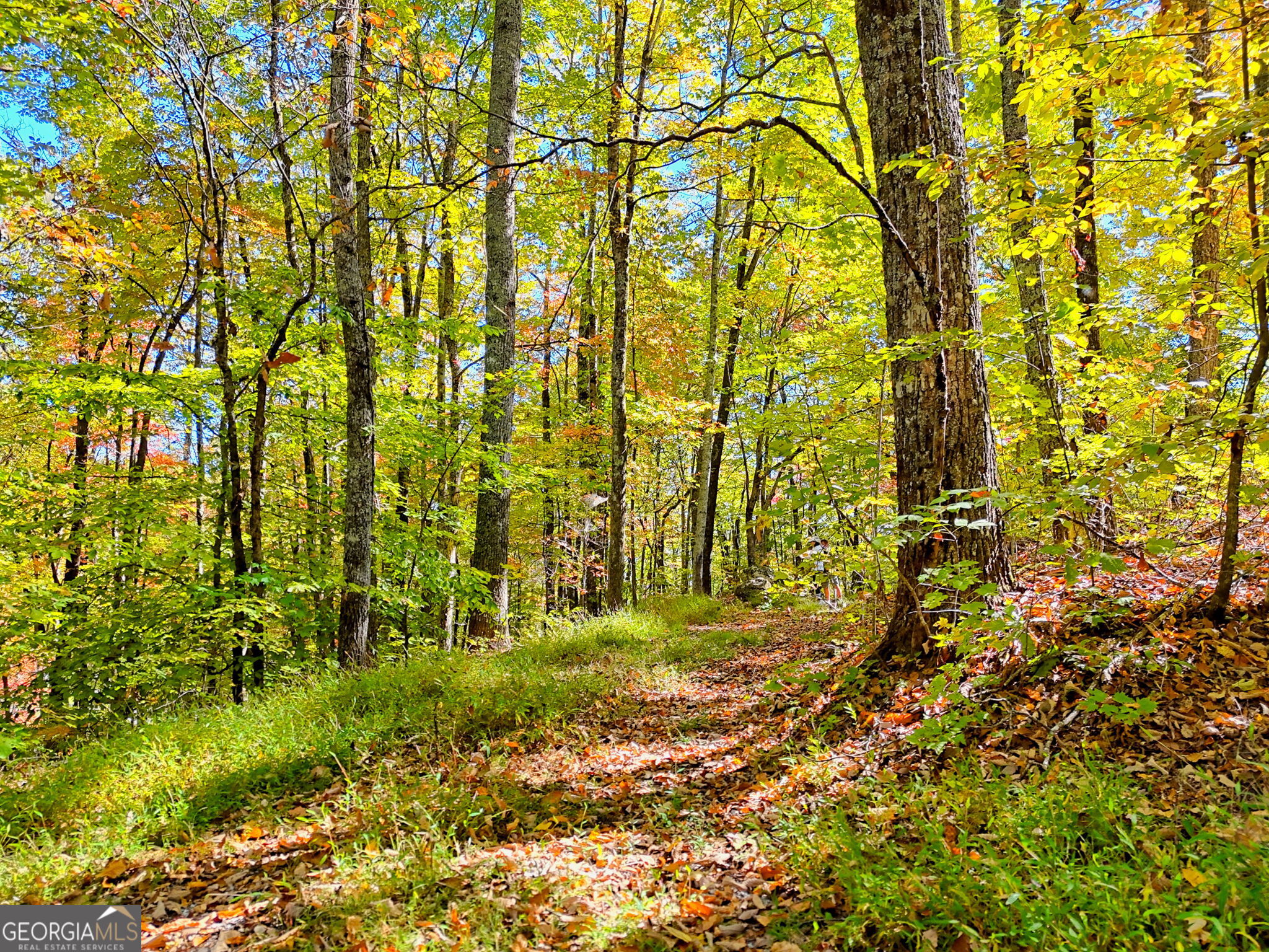 Tiger, Georgia 30576, United States, ,Land,Active,232273