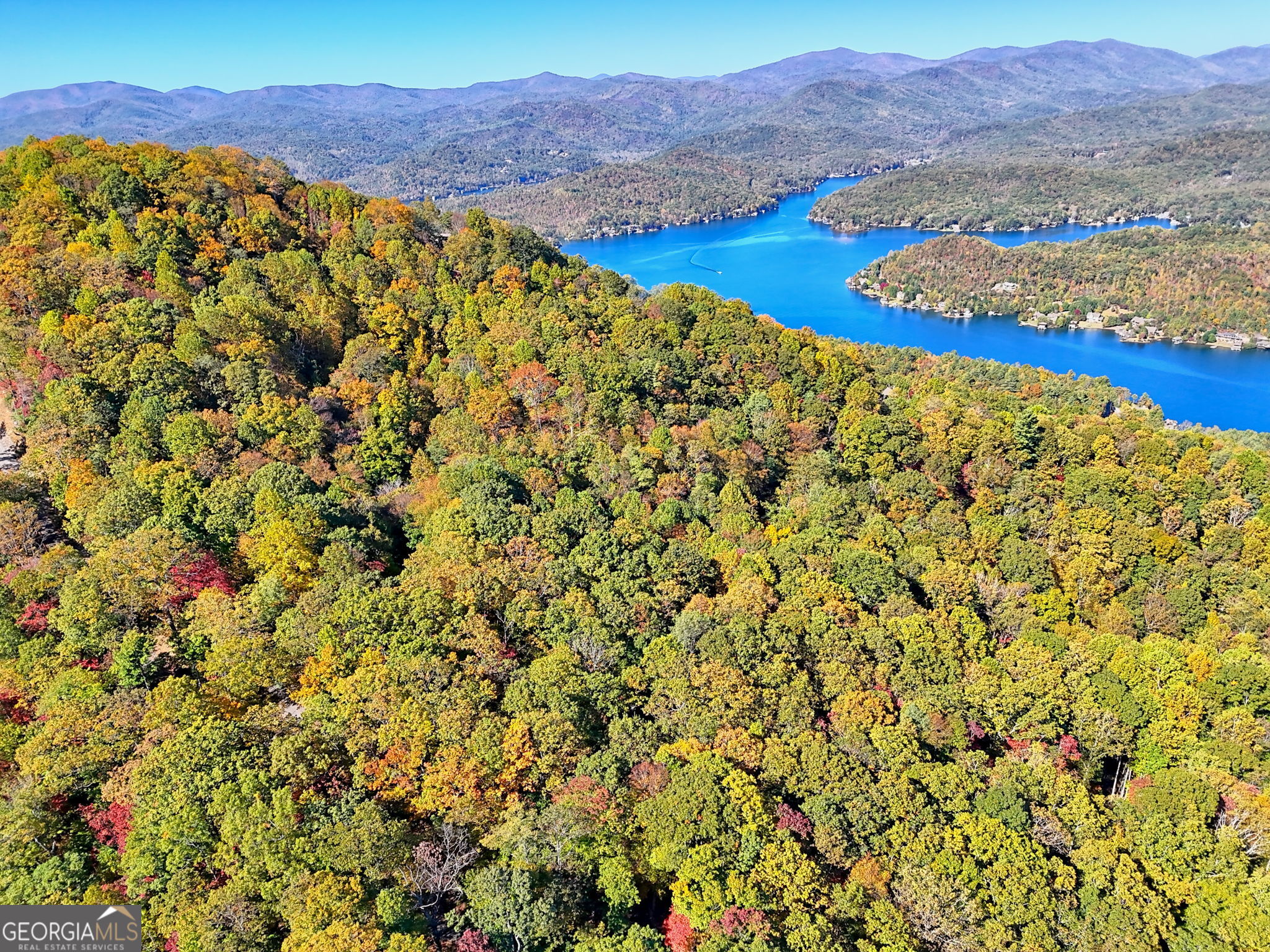 Tiger, Georgia 30576, United States, ,Land,Active,232273