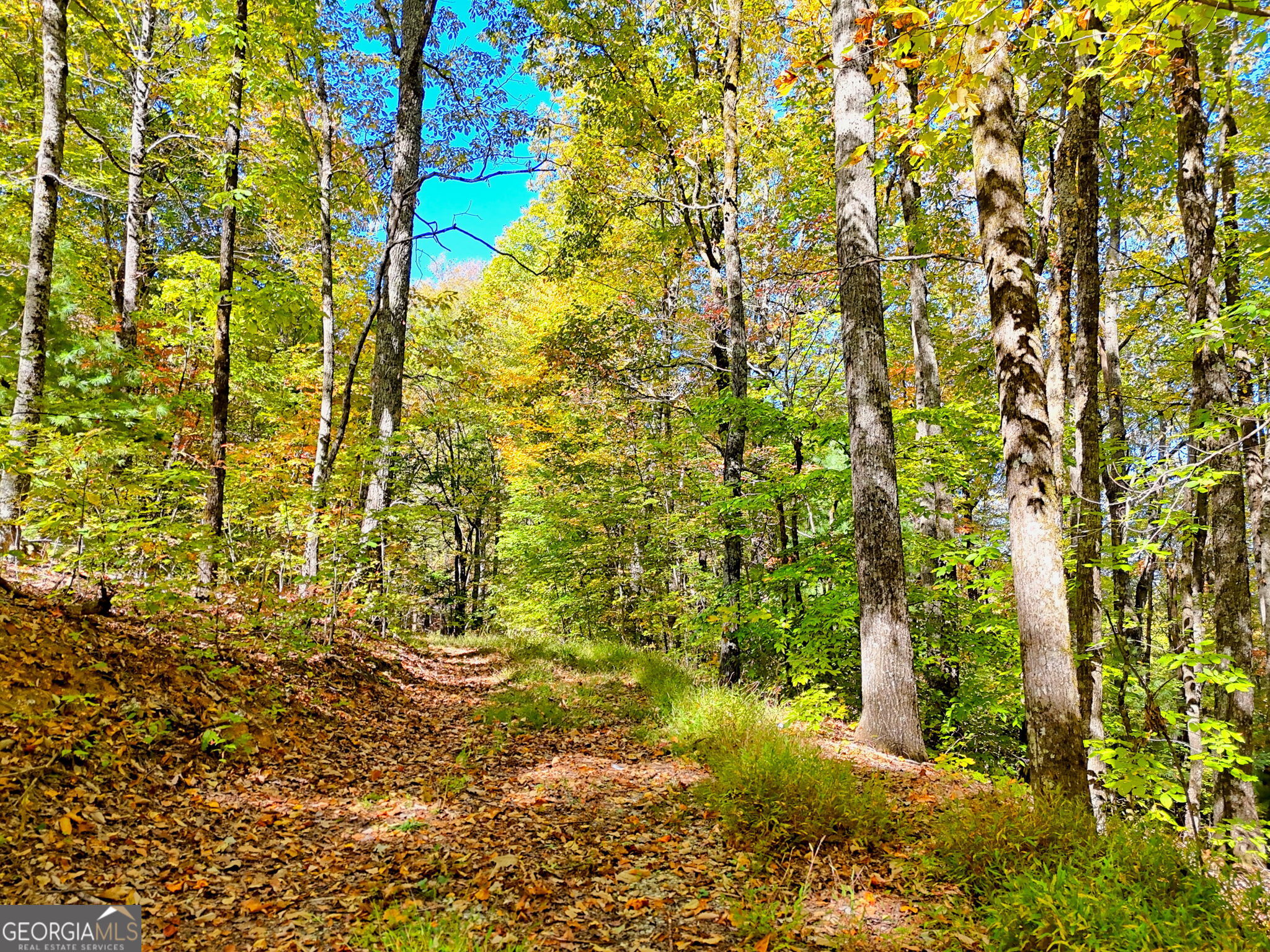 Tiger, Georgia 30576, United States, ,Land,Active,232273