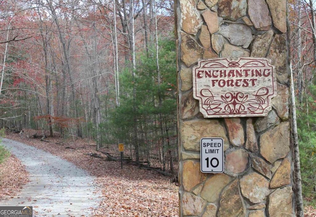 Photo of 0 Deer Run, Morganton, GA 30560 (MLS # 10695944)