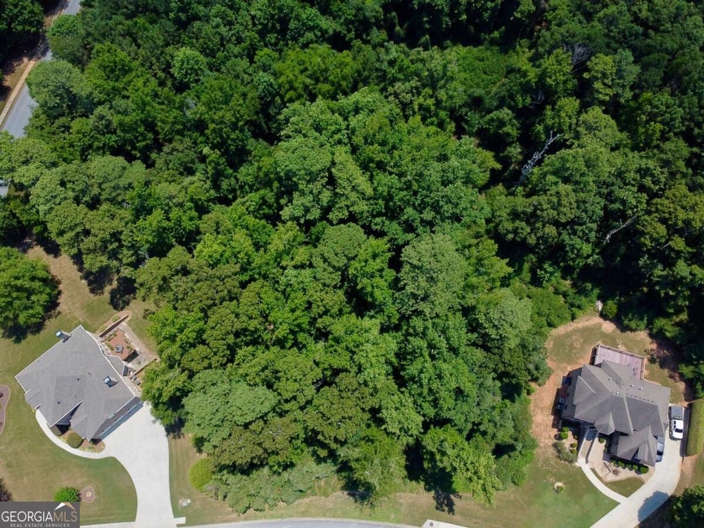 Photo of 2204 Misty Creek Trail SW, Stockbridge, GA 30281 (MLS # 10878109)