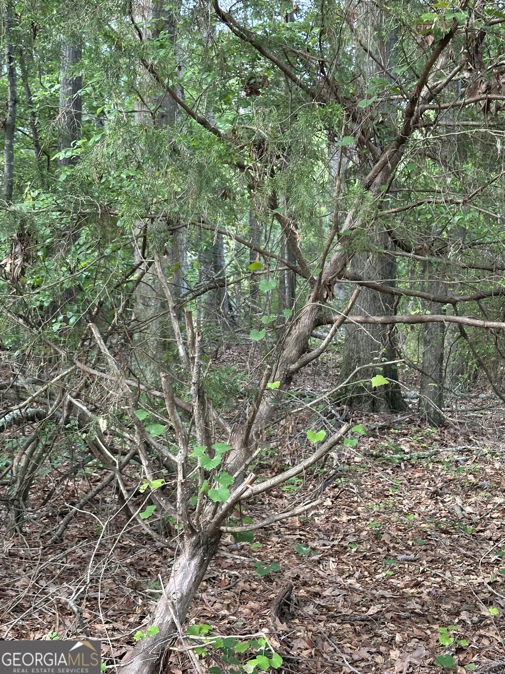 LOT 98 Lakeview Park Sub
