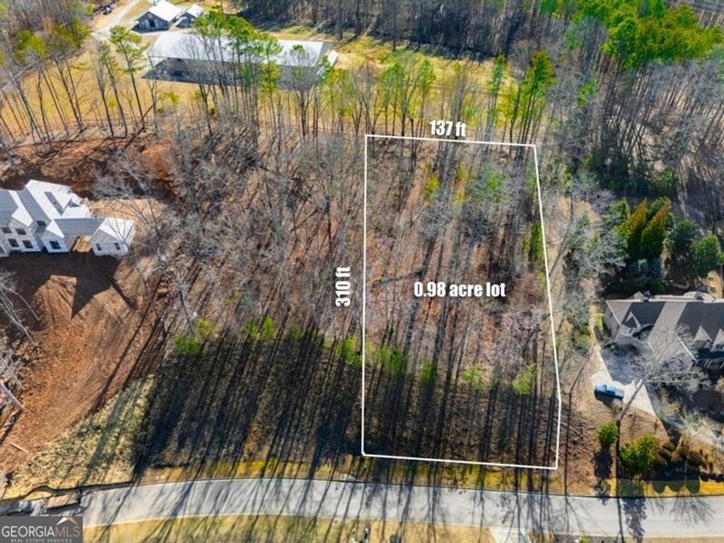 Photo of 234 Traditions Drive, Alpharetta, GA 30004 (MLS # 10702047)