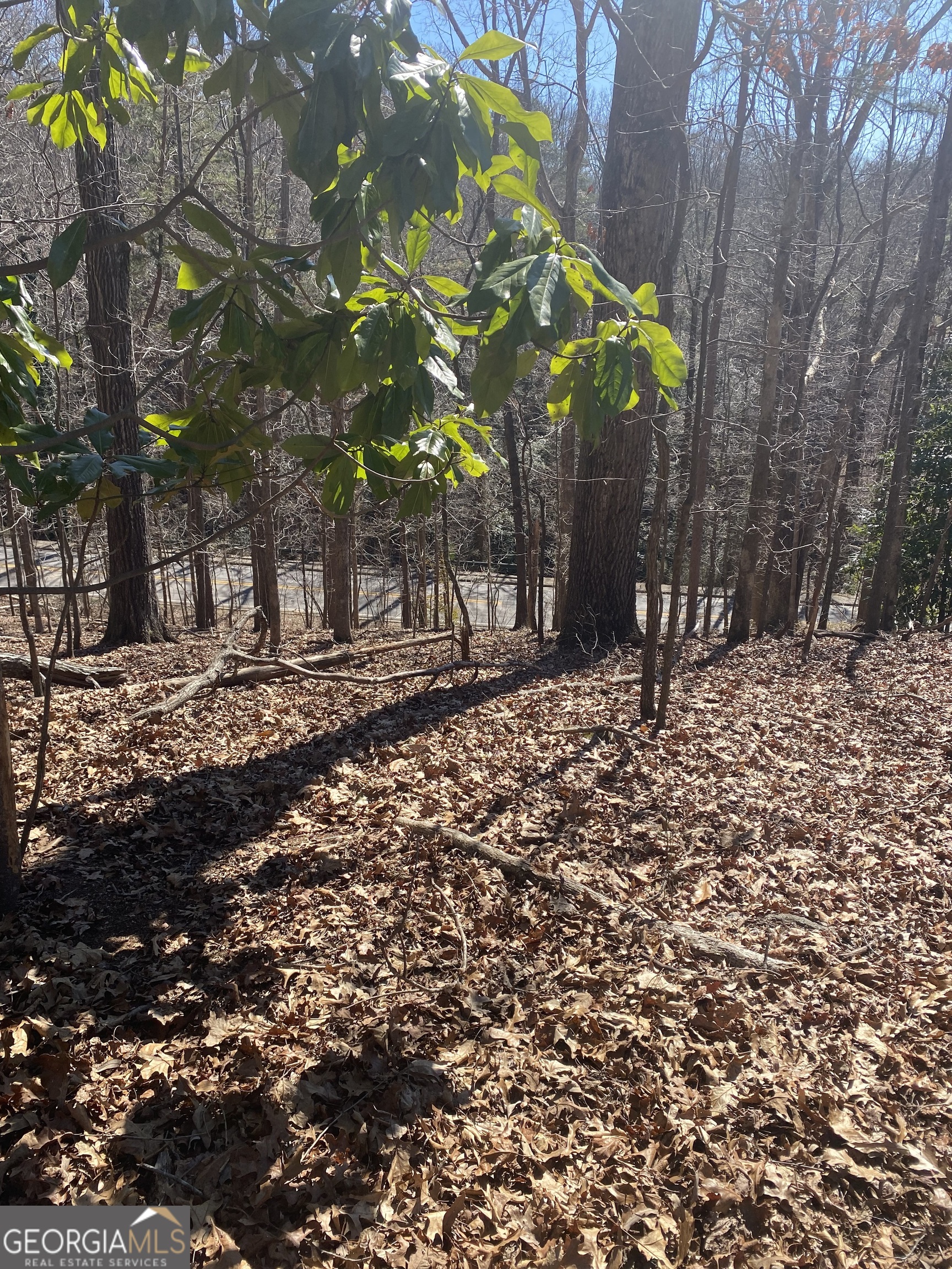 Excellent location!! Build your dream home in a great community close to Gainesville downtown, supermarkets, parks, great dining spots and many more, come and see it your self you will love the area.