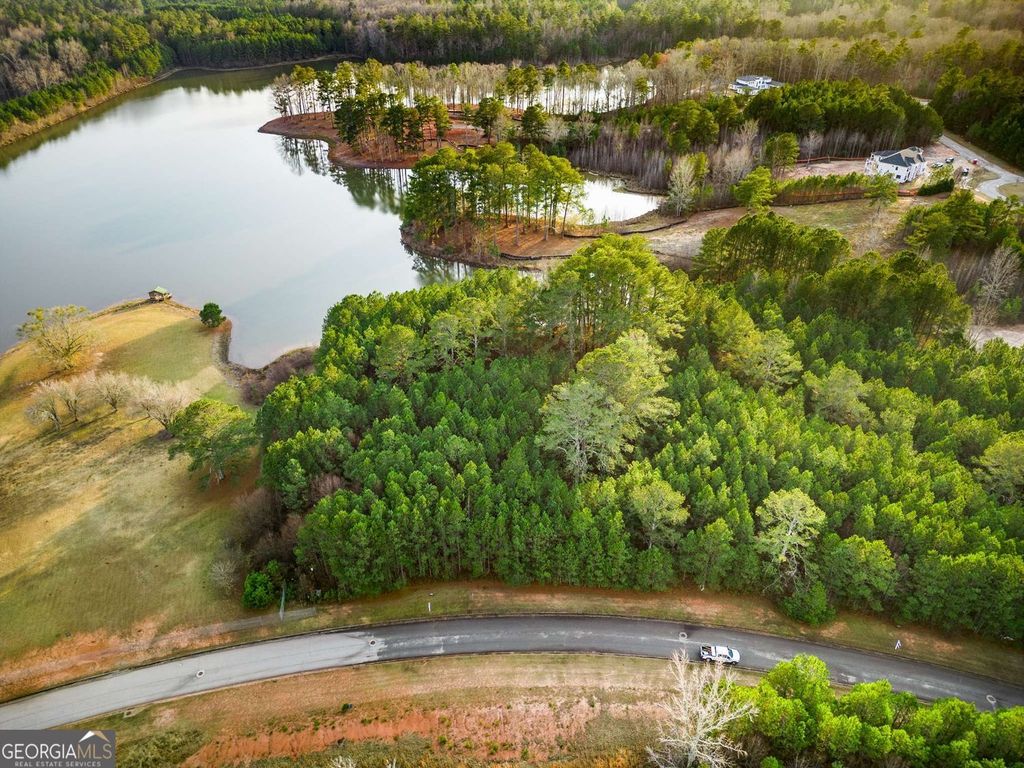 Photo of 4202 Giverny Boulevard, SFULTON, GA 30213 (MLS # 10788809)