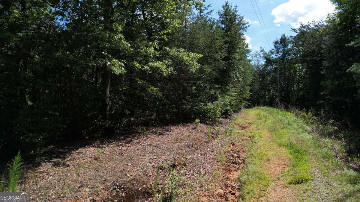 Private 5+ Acre Wooded Retreat Near Carters Lake! Tucked away in the North Georgia mountains, this 5.03-acre wooded lot on Flagpole Circle offers the perfect blend of privacy, nature, and convenience. Located just minutes from charming downtown Ellijay and the sparkling waters of Carters Lake, this property is an ideal spot for your future cabin, weekend getaway, or investment retreat. Surrounded by mature trees and abundant wildlife, the land offers a peaceful setting with room to roam and explore. Access to the property is best suited for 4-wheel drive or ATV, making it a true nature lover's escape-off the beaten path, yet close to everything you need. Whether you're looking to build or simply own a slice of the mountains, this is your chance to enjoy the serene beauty of Ellijay with easy access to hiking, fishing, boating, and the area's renowned apple orchards and festivals. No HOA. Just pure mountain living!