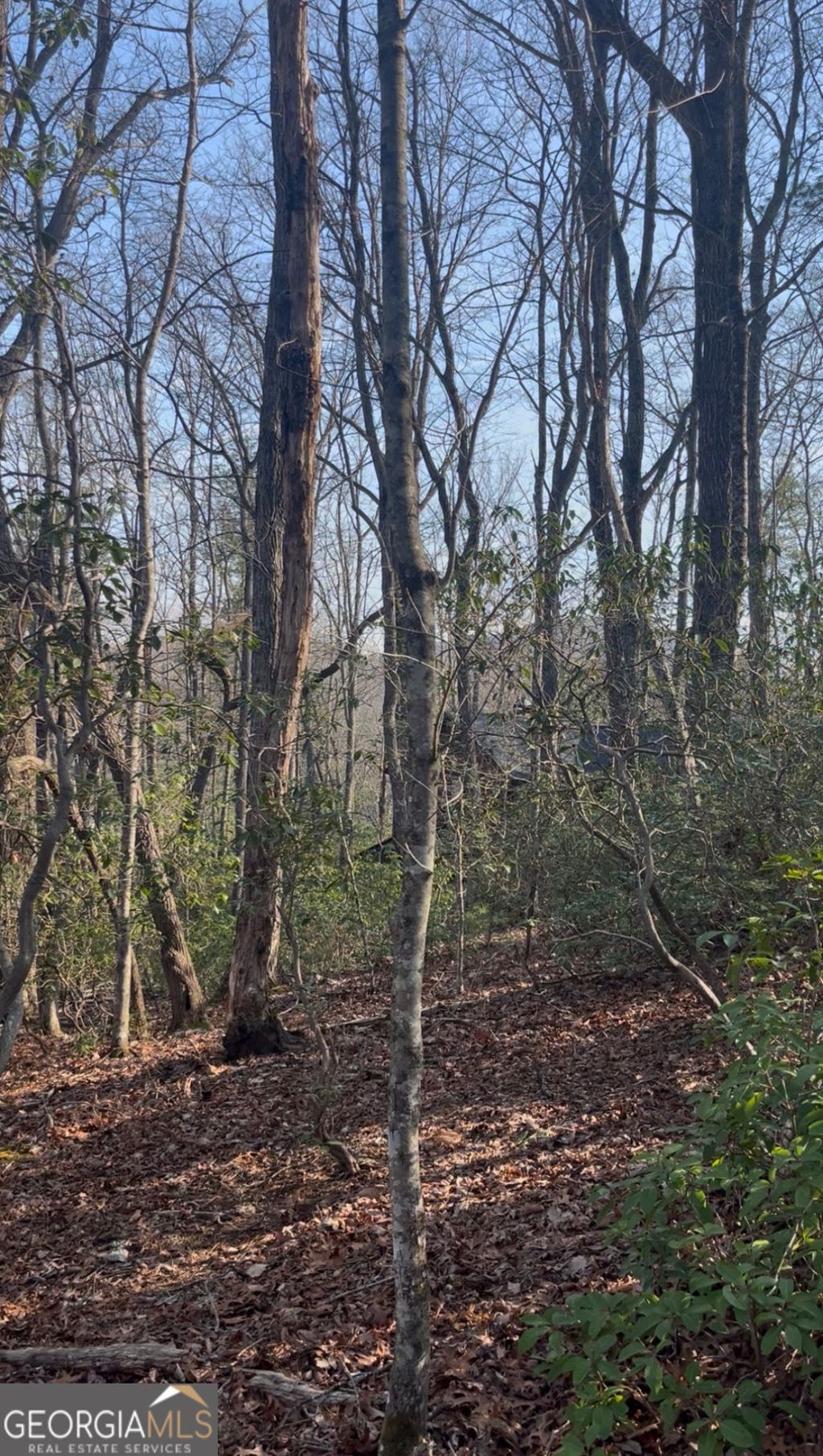 Photo of 0 Highland Trail, Cleveland, GA 30528 (MLS # 10709375)