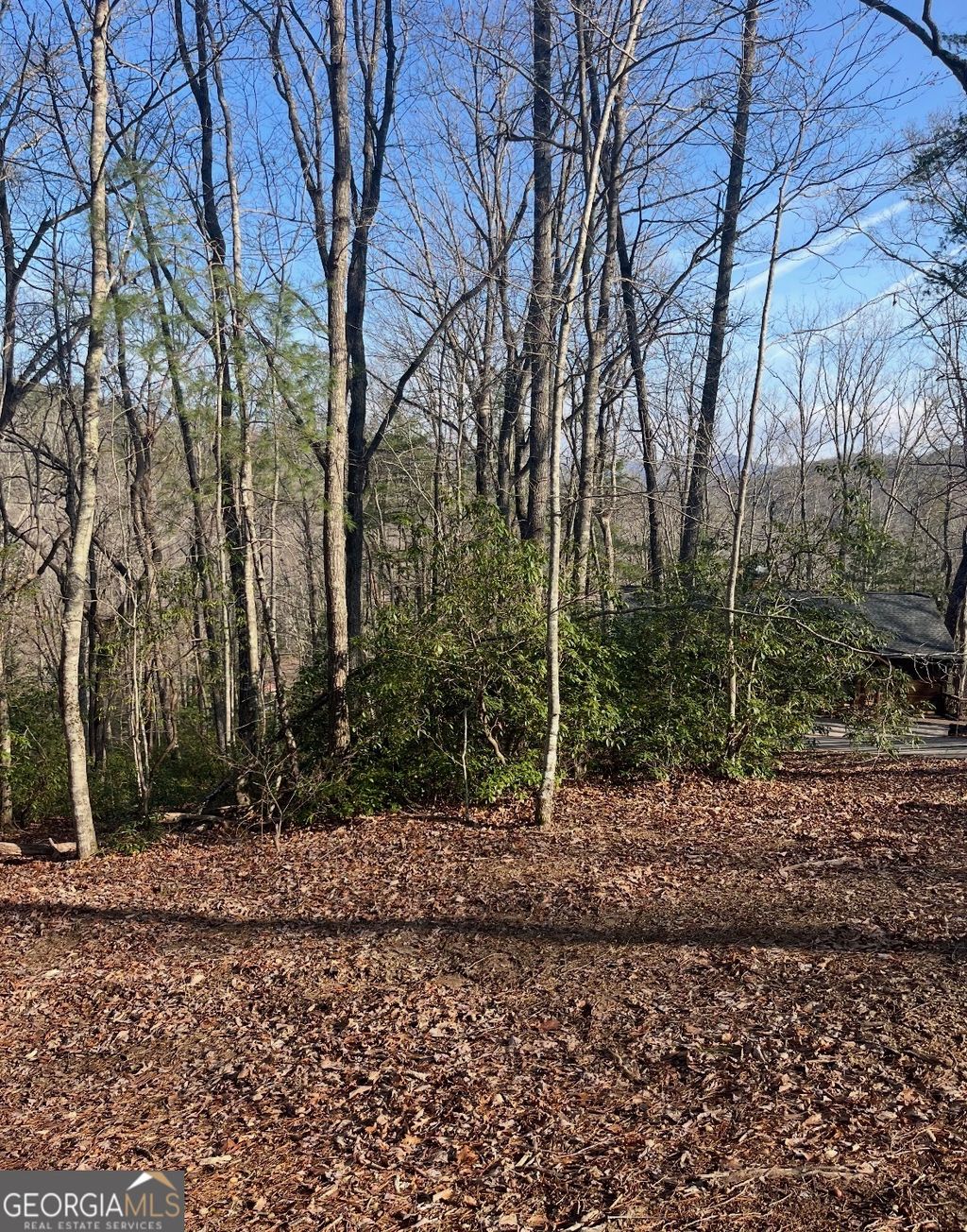 Photo of 0 Highland Trail, Cleveland, GA 30528 (MLS # 10709375)