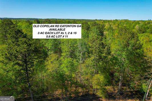 3 Acre wooded lot located in the heart of Lake Sinclair and near Crooked Creek Marina where you will find a waterfront restaurant & boat ramp. Come pick your homesite and have privacy! Lot #1 neighbors this one - choose both and have 6 acres to yourself!