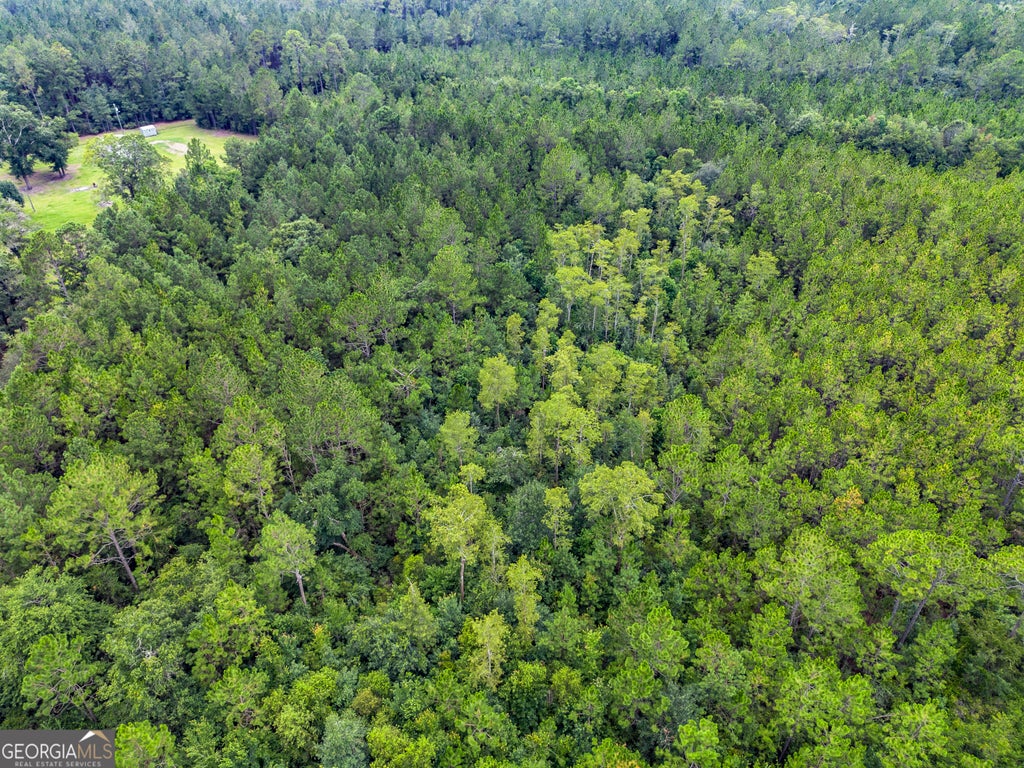 Photo of 0000 Morgan Road, Waycross, GA 31503 (MLS # 10819974)