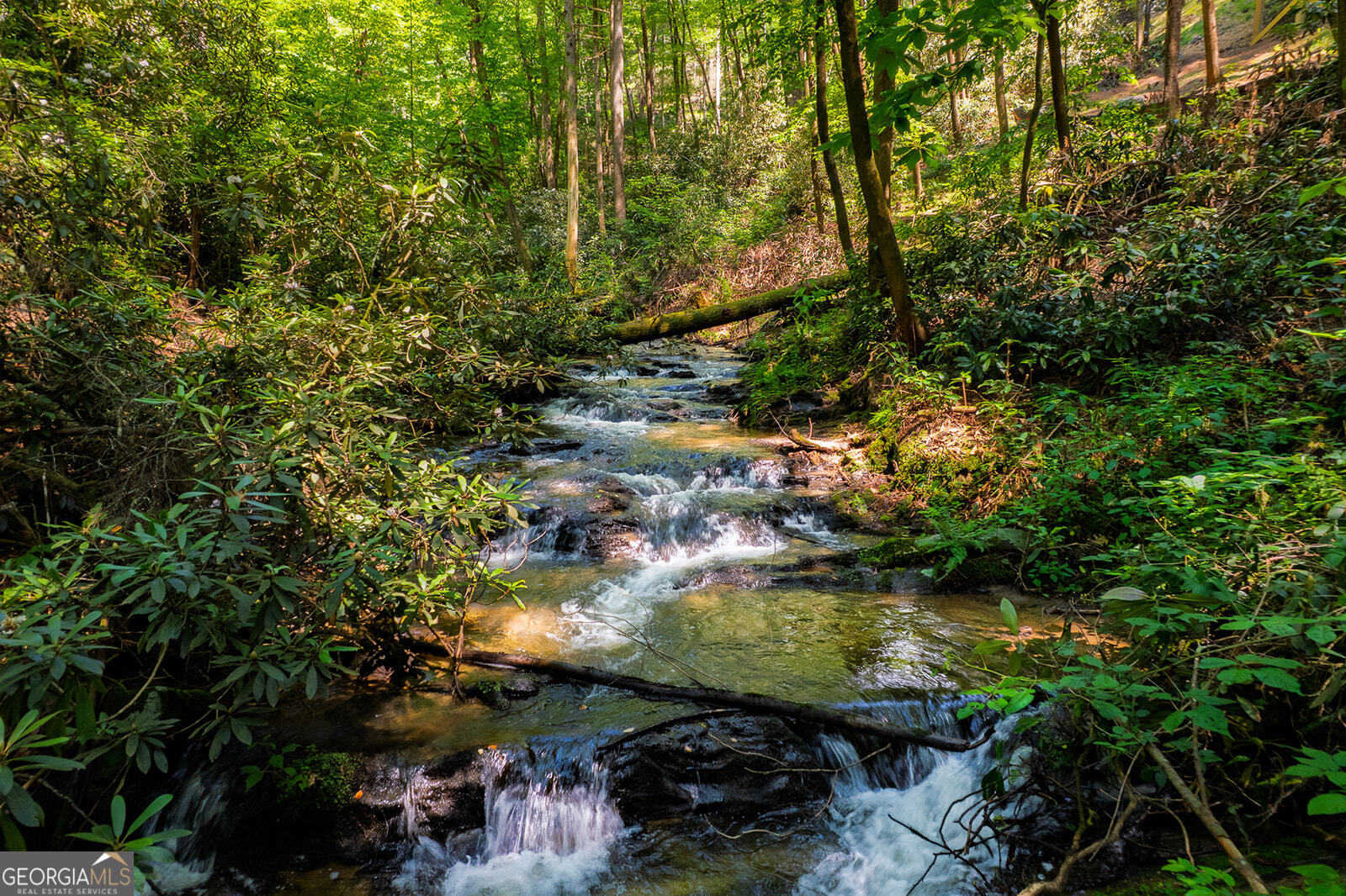 122 Laurel Creek TRL