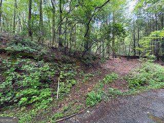 0 Ts Jarrard Rd, Unit TRACT 3, #192