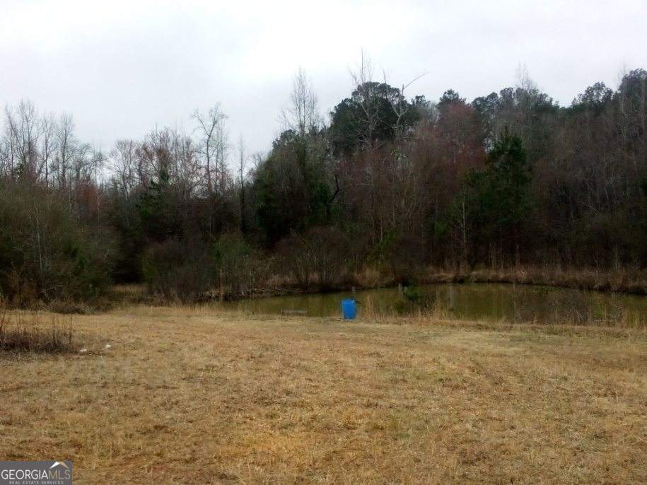 Photo of 0 Old Woodbury Highway, WOODBURY, GA 30293 (MLS # 10784151)