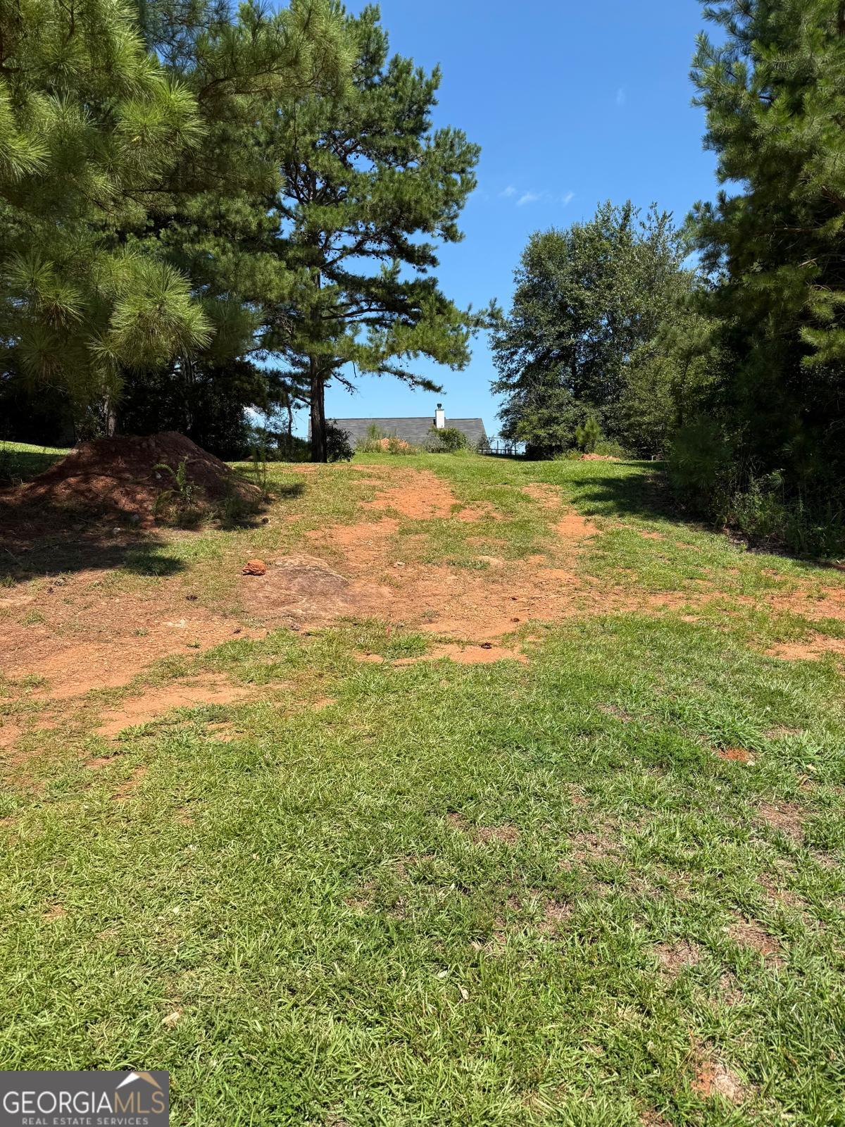 191 Georgia Belle DR