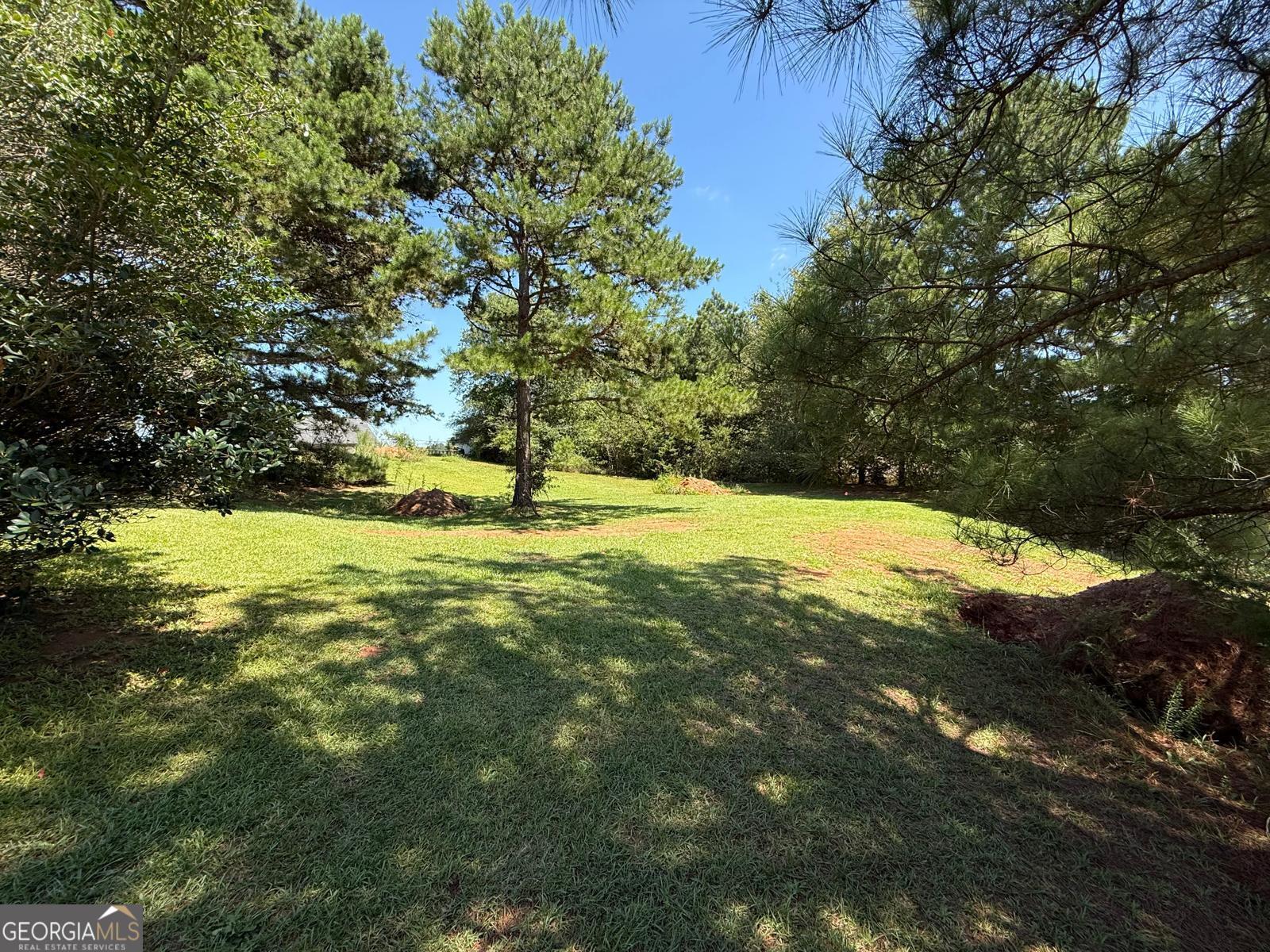 191 Georgia Belle DR