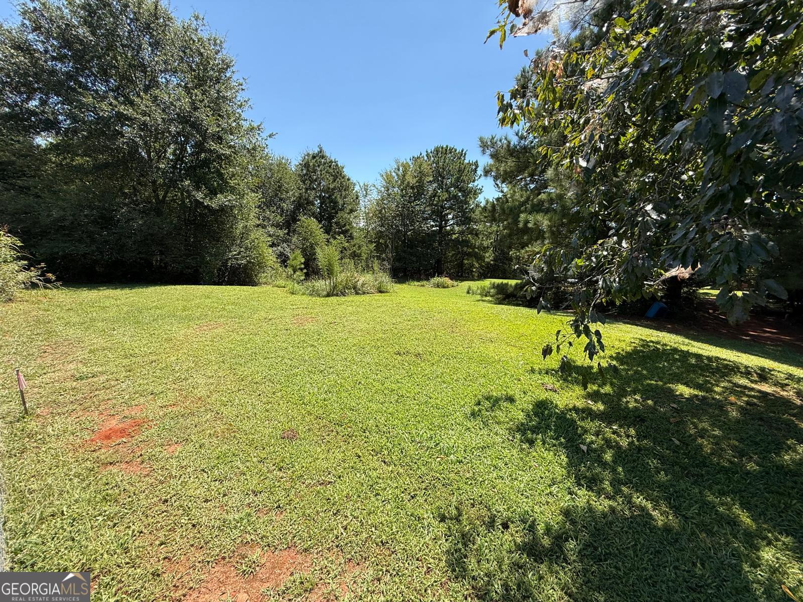 191 Georgia Belle DR