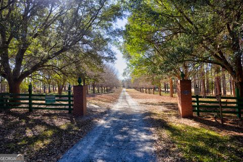 Photo of 2685 Carters Bridge Rd, Claxton, GA 30417 (MLS # 10677188)