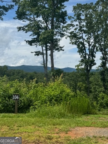 Calling all Boaters, Fisherman and Lake Lovers, within minutes of Carters Lake, This 1.22 acre lot has amazing long-range views and is located in a gated community on a cul-de-sac in one of Ellijay's most upscale mountain communities. Great for investors and STR's are allowed. Underground utilities including high speed fiber internet and community water. Community development plans include a private pool, pavilion, nature parks with firepit, community areas & a kayak launch to Carters Lake. Lake boat ramp is approximately 2 miles from Jakes Landing where you will find a beautiful 1 mile hiking trail called Tumbling Waters Trail. Tumbling Waters Trail leads to an amazing waterfall. Carters Lake also offers many waterside picnic tables for enjoying some good fishing.