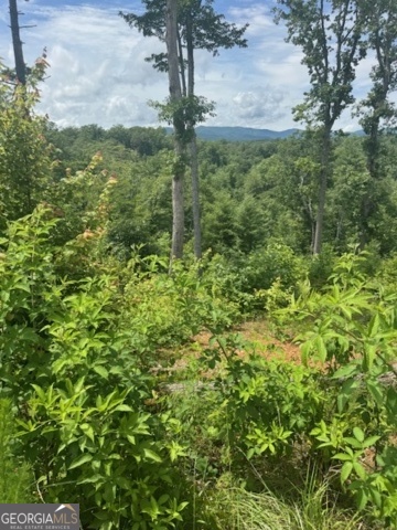 LOT 104 River Knoll Trail