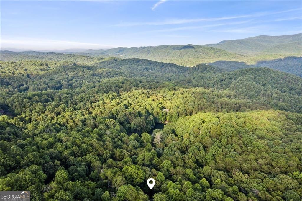 Photo of 889 Granny Branch Drive, Blue Ridge, GA 30513 (MLS # 10769714)