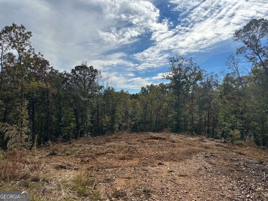 5 YANCY DRIVE, DAWSONVILLE, GA 30534 - Image 8cf8f7e0be3d34183ba7a994e6df7916/2977964303