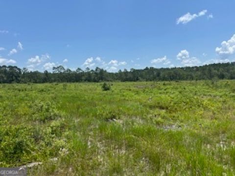 Photo of 8721 Bay Branch Church Road, Claxton, GA 30417 (MLS # 10569823)