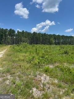 87.21 AC Bay Branch Church RD