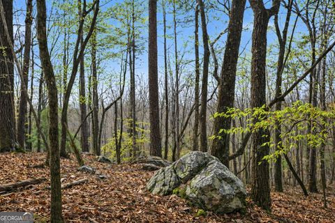 Photo of 2335 Stonepile Road #LOT 2, Clarkesville, GA 30523 (MLS # 10710836)