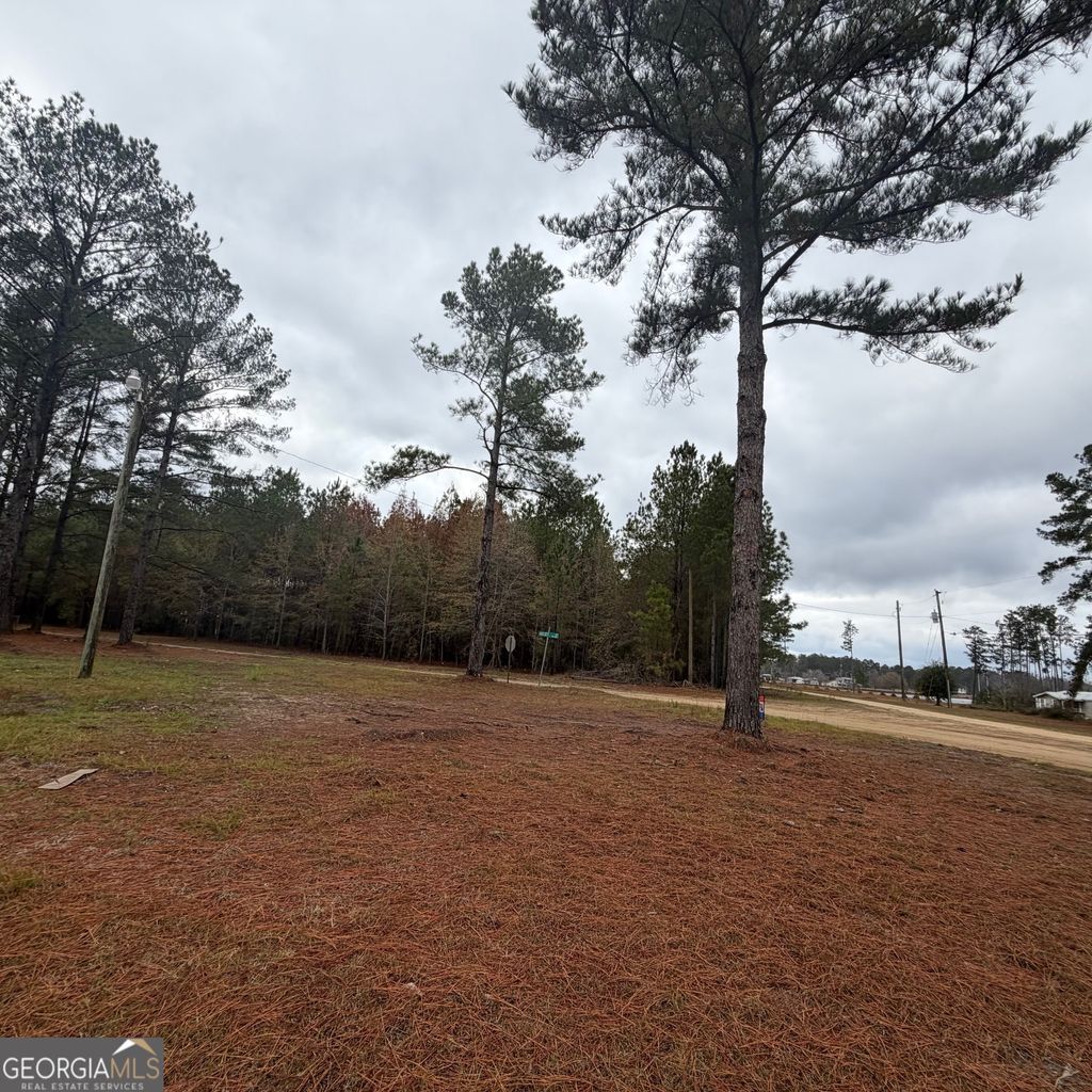 Photo of 0 Hulsey Drive, Metter, GA 30439 (MLS # 10656928)