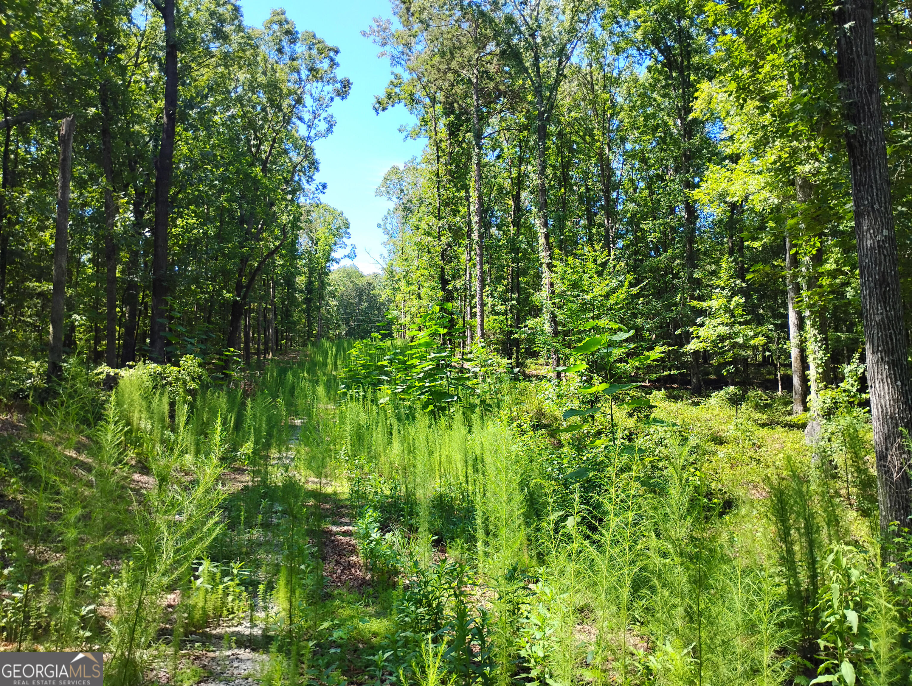 TRACT A Wineberger Rd