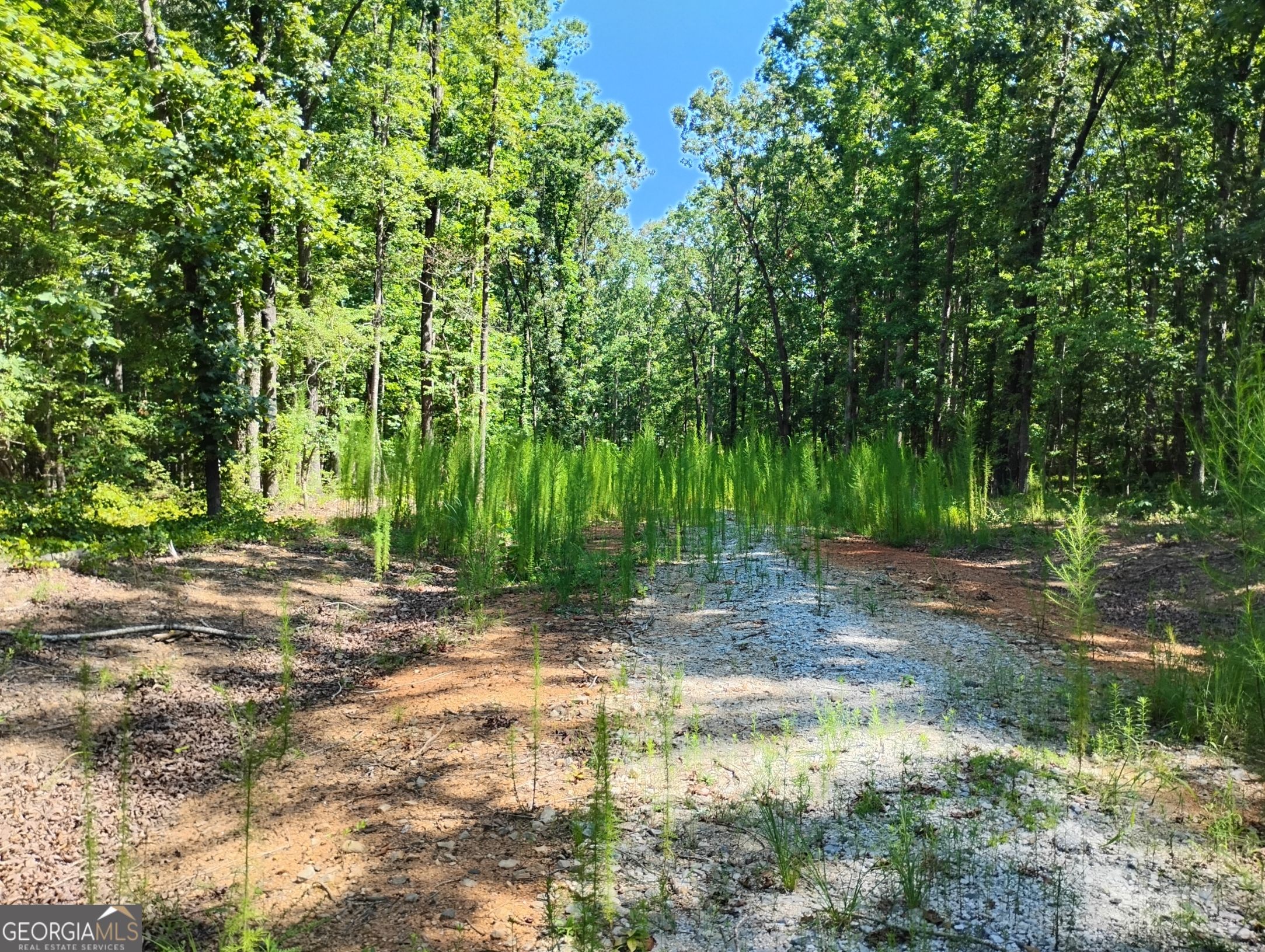 TRACT A Wineberger Rd