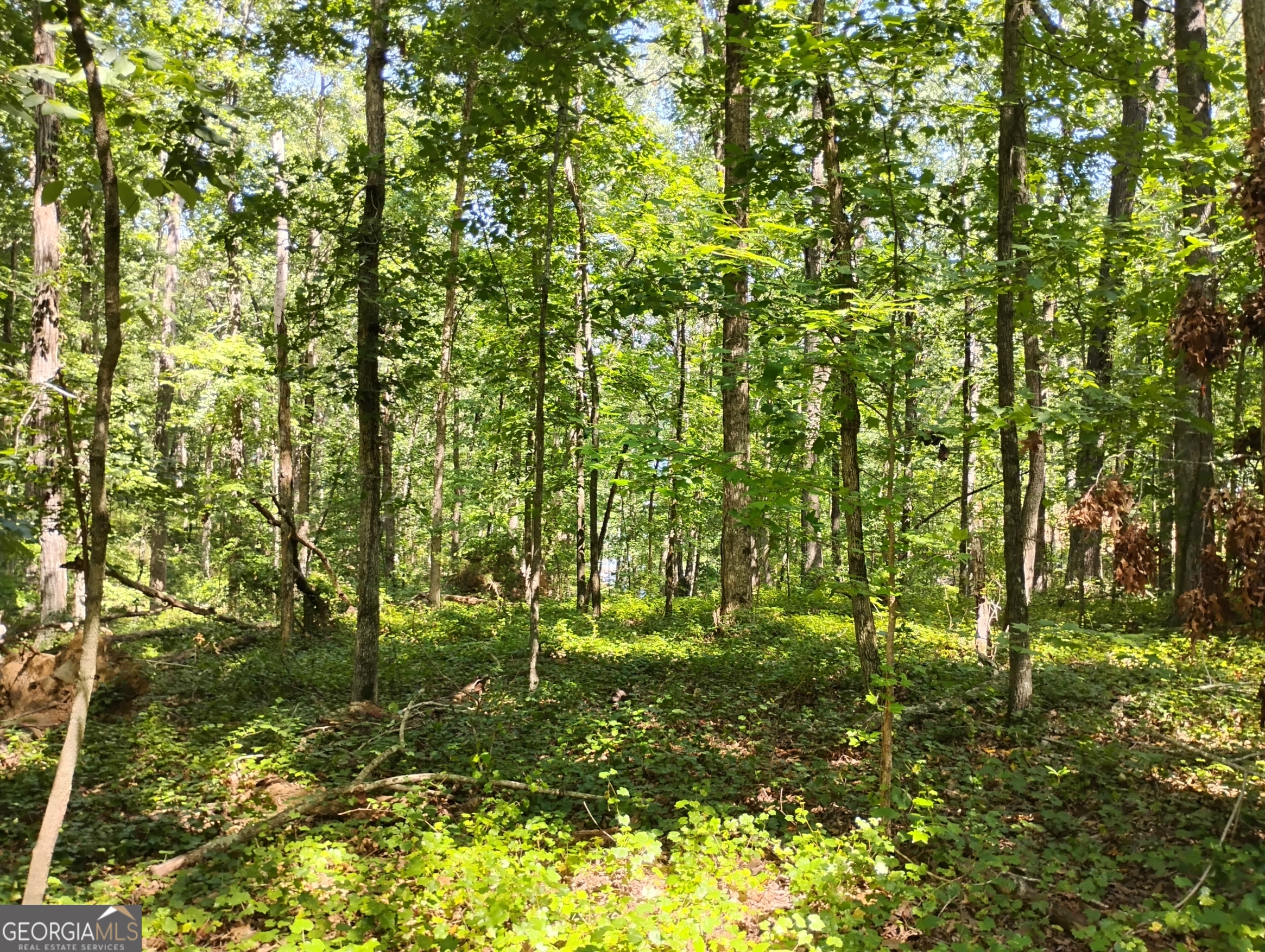 TRACT A Wineberger Rd