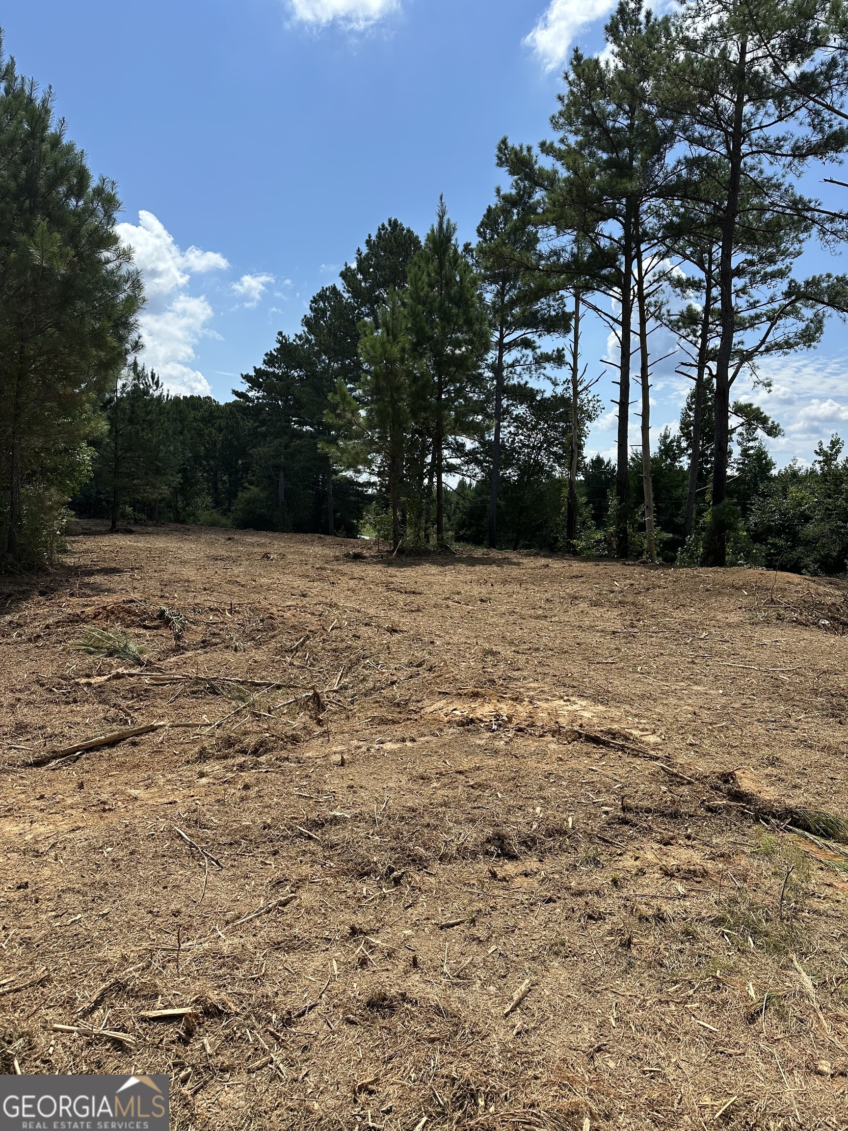 5.01 acres per Tract 3 survey. Mostly wooded tract of land with good paved road frontage along Culp Lake Road. County water is available along the R/W of the road. The front portion of the land is level and the rear portion of the property elevates higher for nice views and could be a great place for a house. Suitable for a manufactured home or a site built home. The rear portion of the land is wooded with a good mix of hardwoods and pines. This property is a short distance from the Treat Mountain WMA which is 7,260 acres of wilderness to enjoy. There is currently an additional tract beside this parcel that is 5.61 acres that can be added to this property if over 10 acres is desirable.