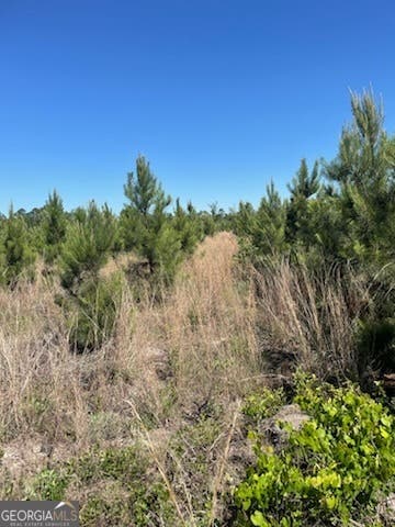 Photo of 0 Abbeville Highway, Eastman, GA 31023 (MLS # 10788726)