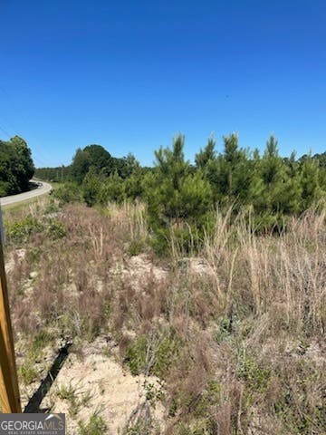 Photo of 0 Abbeville Highway, Eastman, GA 31023 (MLS # 10788726)