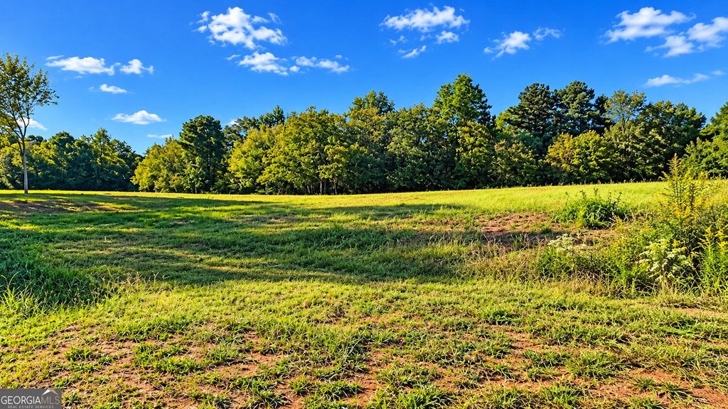 Photo of 8005 Grand Meadow Run, Gainesville, GA 30506 (MLS # 10854028)
