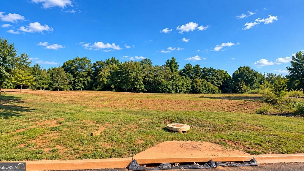 Photo of 8005 Grand Meadow Run, Gainesville, GA 30506 (MLS # 10854028)
