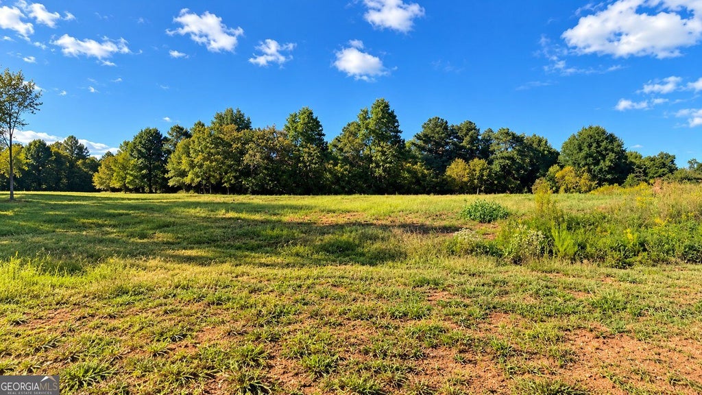 Photo of 8005 Grand Meadow Run, Gainesville, GA 30506 (MLS # 10854028)