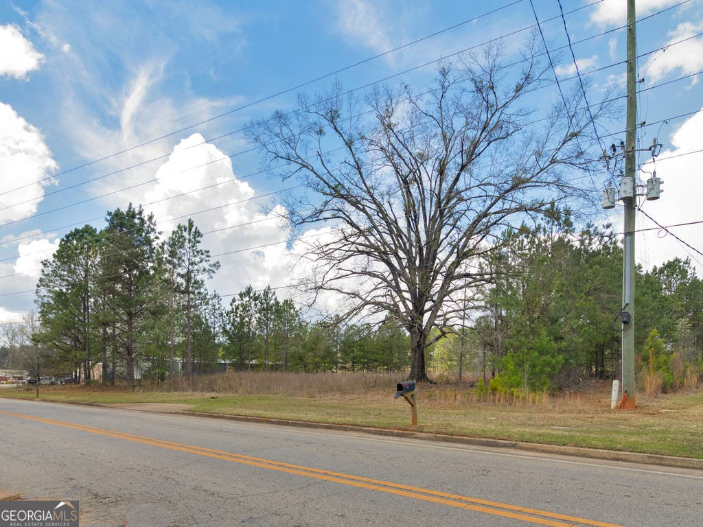 Photo of 0 County Farm Road, Zebulon, GA 30295 (MLS # 10790225)