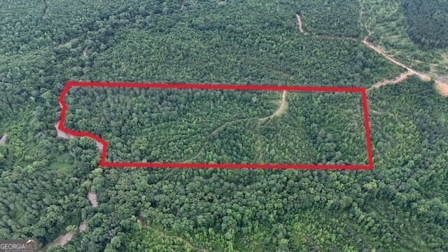 41.6 +/- acres located just 10 minutes from elberton and a short ride from lake Russell located at 7 Emmaus rd, Elberton, Ga. This tract host a well diversified mix of pines, Big hardwoods in the bottoms along the frontage of Beaverdam Creek and multiple long range shooting lanes with miles of interior roads leading you to several ideal Foodplot locations. This place host ample opportunities for Deer, With a Thermal drone survey showing 1.8 deer per acre, A healthy presence of Turkeys and even a Hawg or two from time to time to give you something to do in the off season. With level to rolling topography, a good mix of Timbered and open ground this place gives you the opportunity to have a spot to establish pasture, Have a private Rural home, A might near turn key hunting property or all of the above! Several other tracts are currently available with this tract ranging from 19+- to 53+- acres. Call listing Agent for details or to schedule a driven tour.