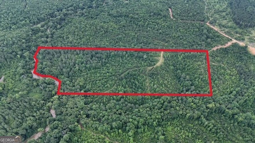 41.6 +/- acres located just 10 minutes from elberton and a short ride from lake Russell located at 7 Emmaus rd, Elberton, Ga. This tract host a well diversified mix of pines, Big hardwoods in the bottoms along the frontage of Beaverdam Creek and multiple long range shooting lanes with miles of interior roads leading you to several ideal Foodplot locations. This place host ample opportunities for Deer, With a Thermal drone survey showing 1.8 deer per acre, A healthy presence of Turkeys and even a Hawg or two from time to time to give you something to do in the off season. With level to rolling topography, a good mix of Timbered and open ground this place gives you the opportunity to have a spot to establish pasture, Have a private Rural home, A might near turn key hunting property or all of the above! Several other tracts are currently available with this tract ranging from 19+- to 53+- acres. Call listing Agent for details or to schedule a driven tour.