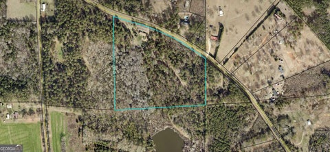 Photo of 372 Bailey Mill Road, Yatesville, GA 31097 (MLS # 10869951)