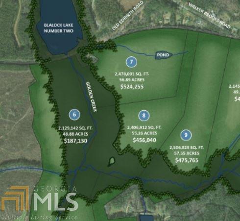 56+ acre flag lot tucked away in the woods across from Blalock Lakes. Creek and flood plain on rear, but 34+ acres are outside flood plain. Access is part of this lot and not a shared easement. Beautiful land. No HOA or covenants.. Other surrounding tracts available.