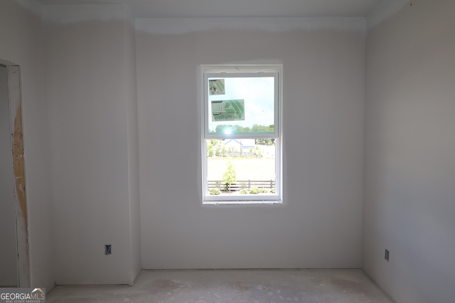 202 Wild Ginger BND