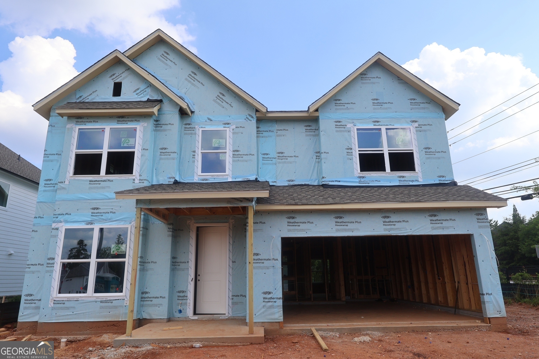 202 Wild Ginger BND
