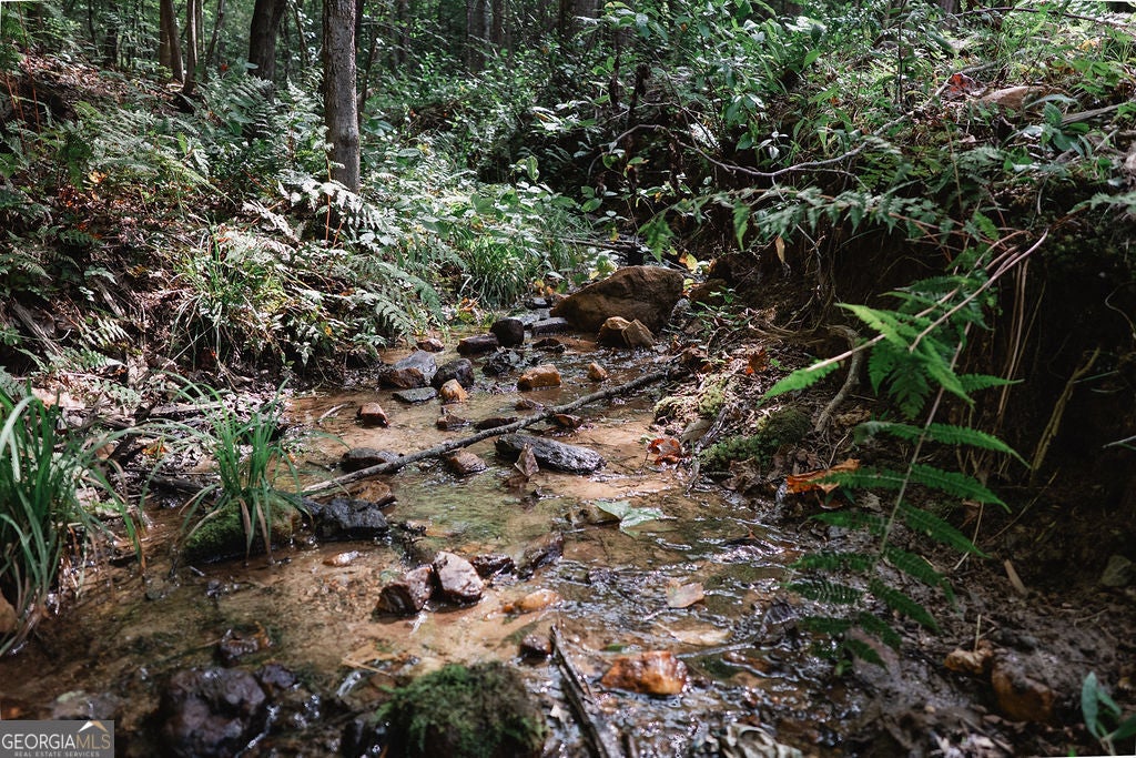 Photo of 3280 Old Burnt Mountain Road #TRACT 3, Jasper, GA 30143 (MLS # 10841476)