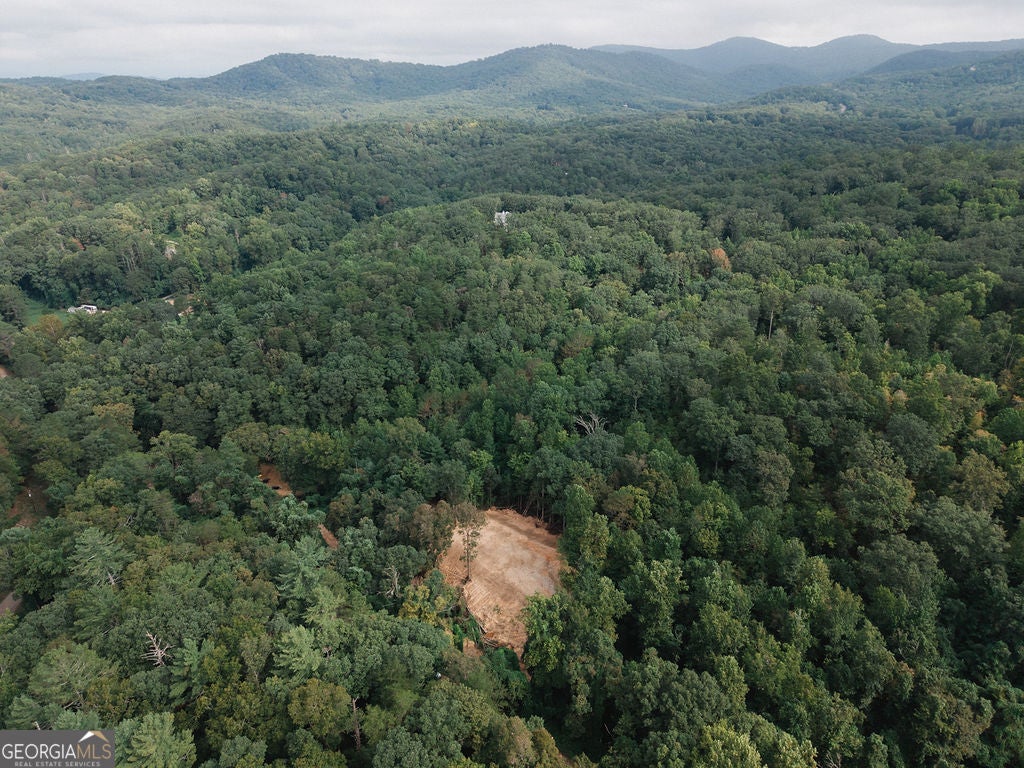 3280 Old Burnt Mountain RD TRACT #3