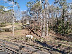428 Dogwood DR