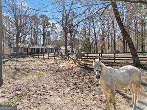 428 Dogwood DR