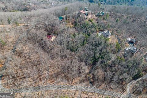 LOT 7 Squirrel Hunting RD Morganton GA 30560